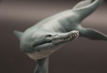 Kronosaurus